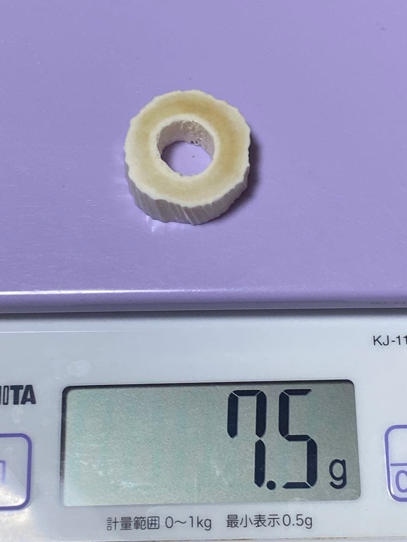 ウニコール　一角　鯨牙　鯨歯　新品　送料無料