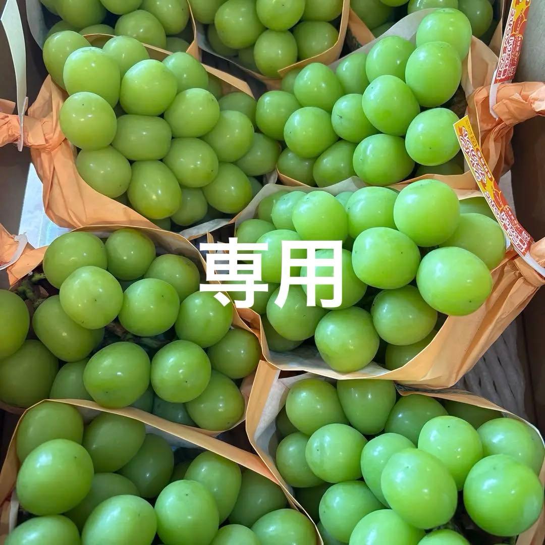 専用クール便 シャインマスカット 秀品9房 5キロ 長野 JAみなみ信州