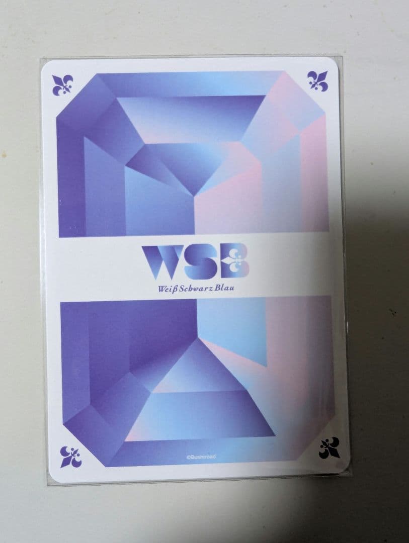 家庭教師ヒットマンREBORN! ヴァイスシュヴァルツブラウ 獄寺隼人 SP