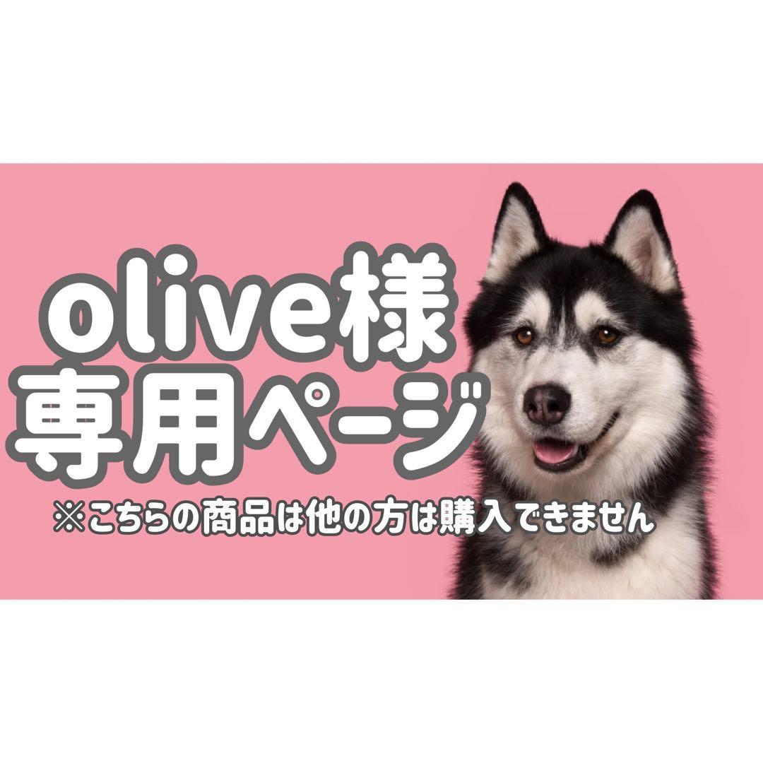 Bサ18◯●oliveページ●◯