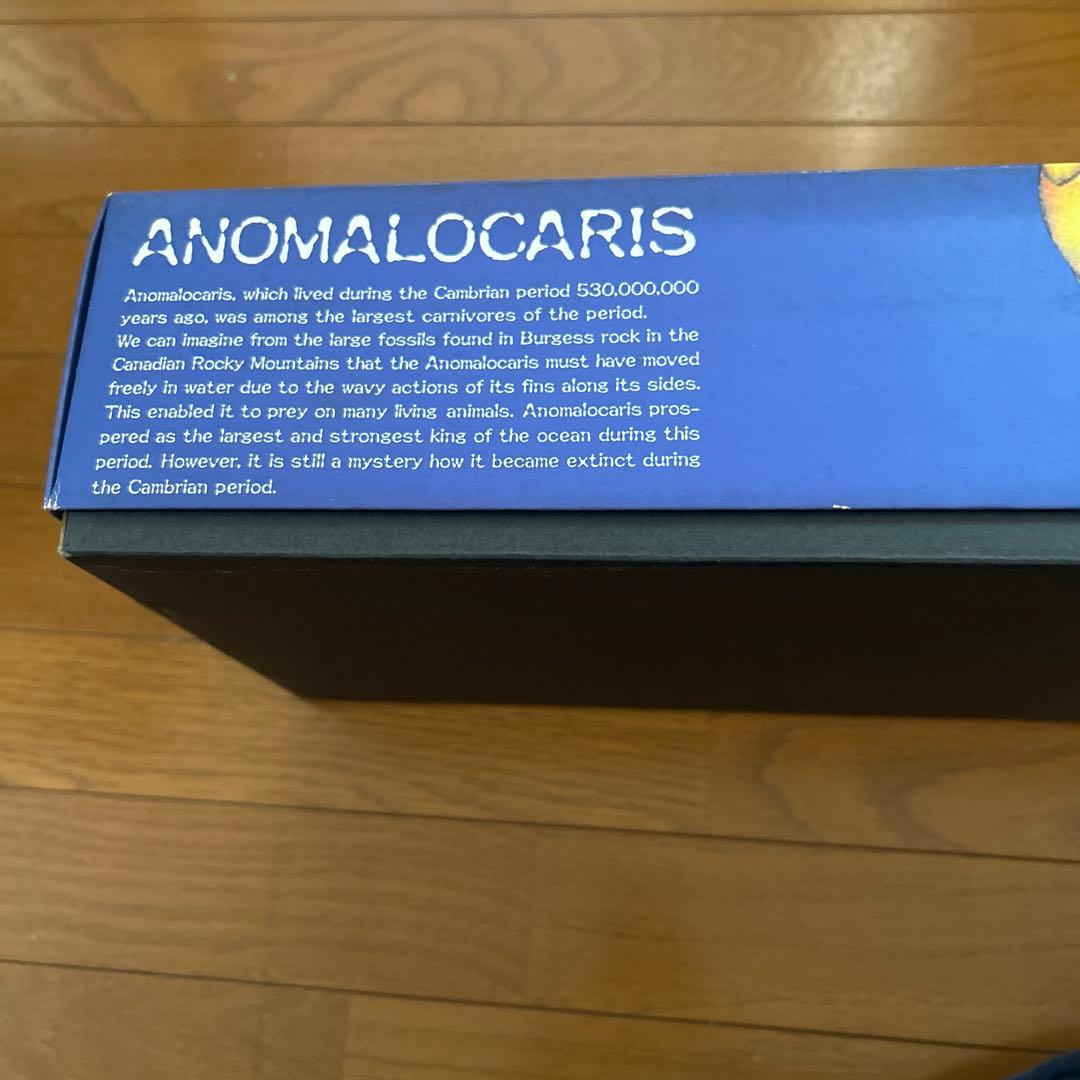 カンブリア紀　アノマロカリス　フィギュア　化石　復元モデル　NHKスペシャル