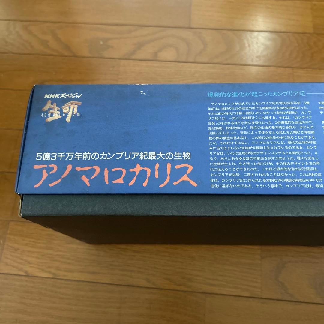 カンブリア紀　アノマロカリス　フィギュア　化石　復元モデル　NHKスペシャル