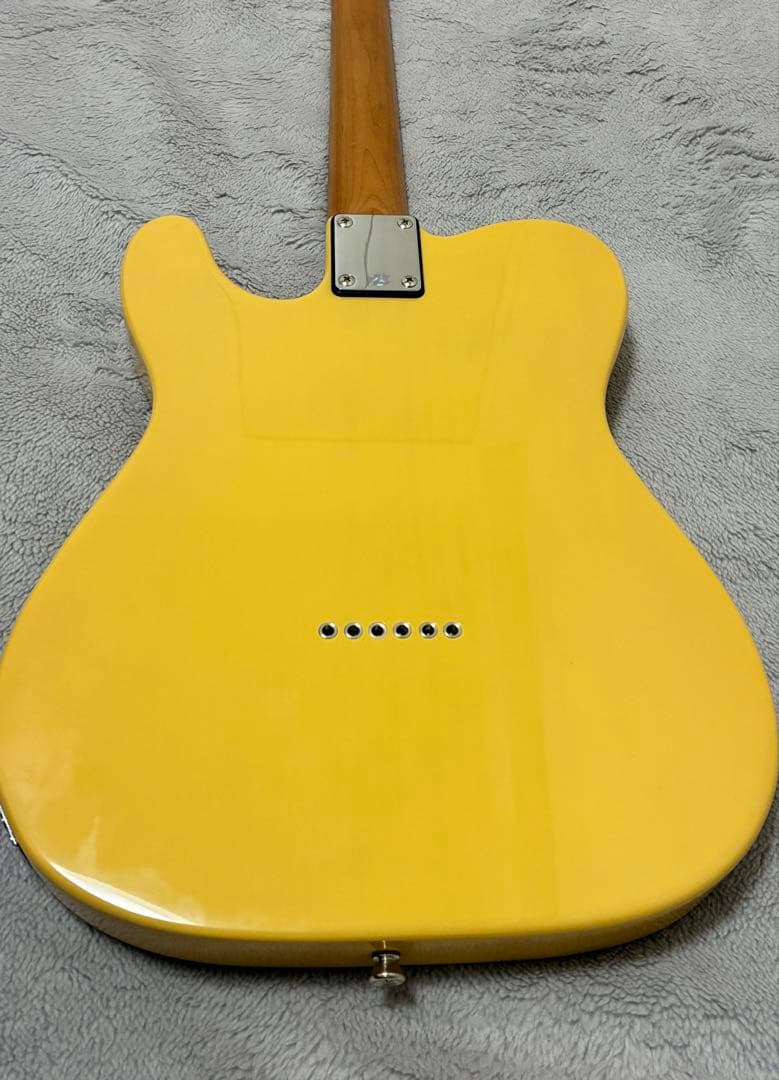 Bacchus BTE-2-RSM/M BBD テレキャスター