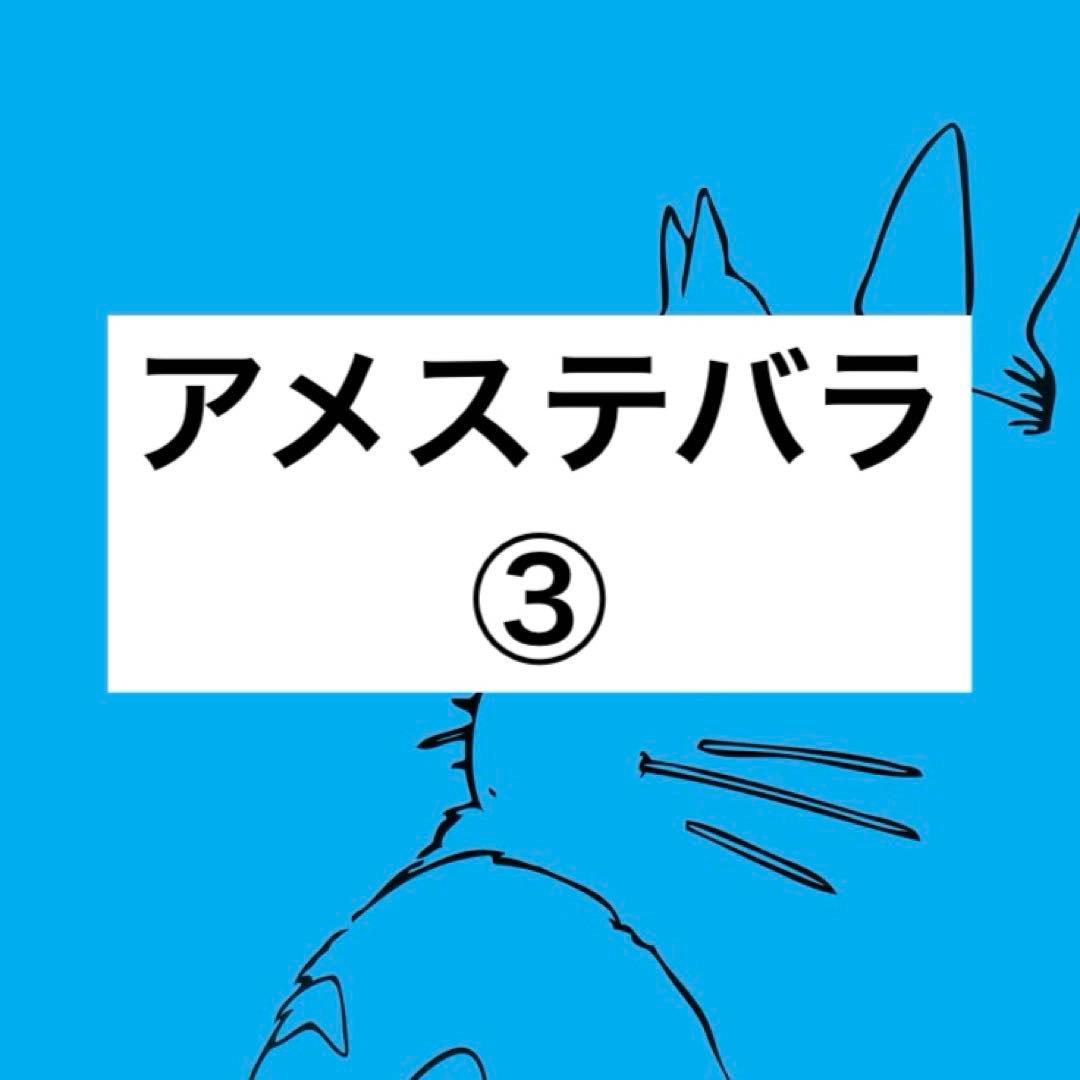 アメステバラ ③