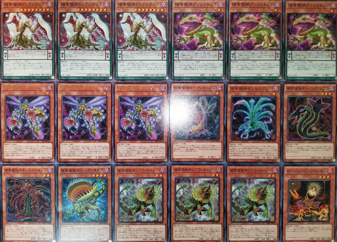 遊戯王デッキ　捕食植物デッキ　ガチ構築