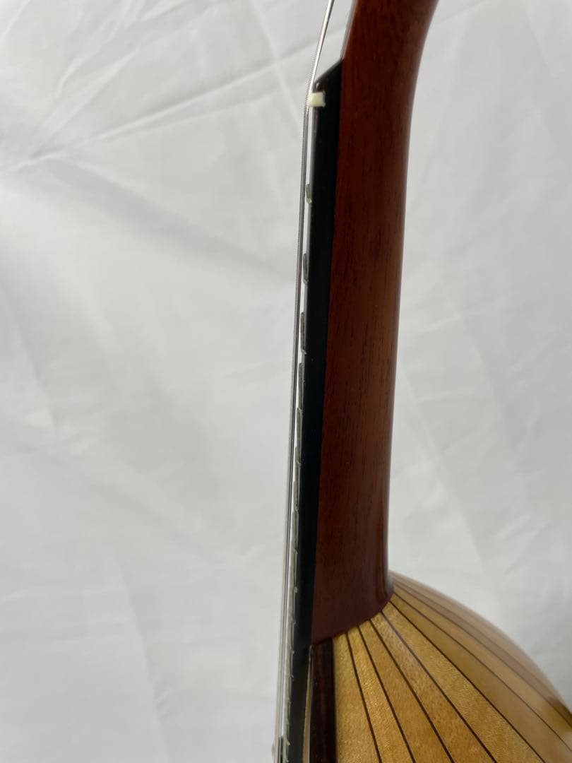 嶋田/エンジェルマンドリン モデル:LO