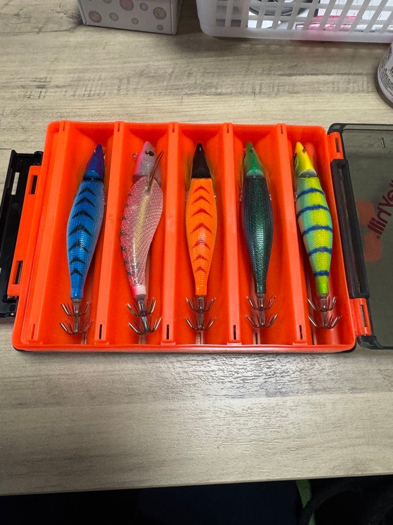 エギ セット カラー多様