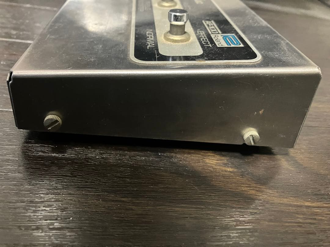 ギター Roland AF100 Bee Baa