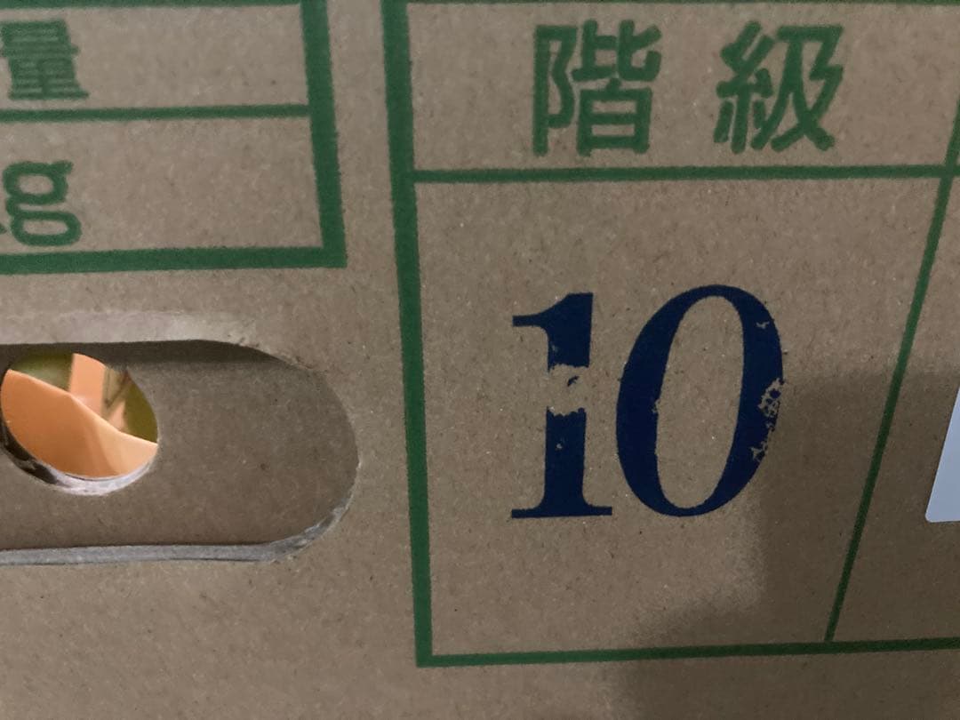 長野県産　シャインマスカット　約5kg