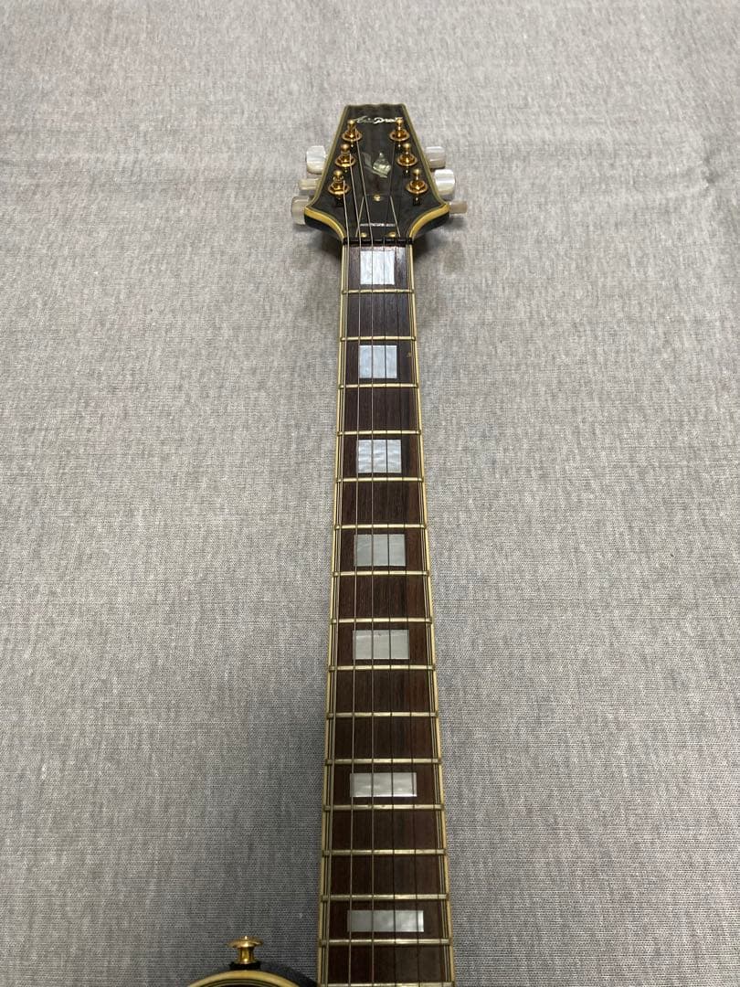 ギター Aria proII PE-DLX