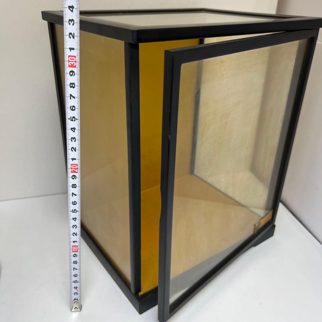 本肉赤珊瑚　ケース付　台込221g 東Y8-0130②トヒトオ