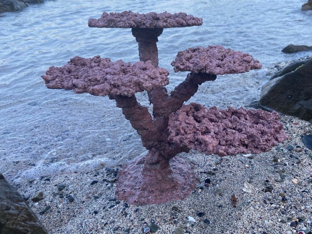 水槽用コーラル模型 ピンク 紫　中型