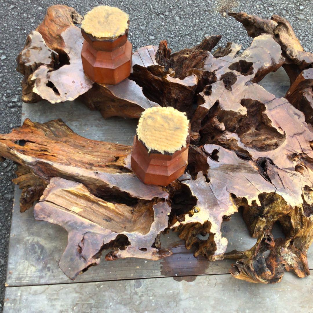 アートな自然木座卓　天然木　木株　アンティーク　超希少　ロウテーブル　置物