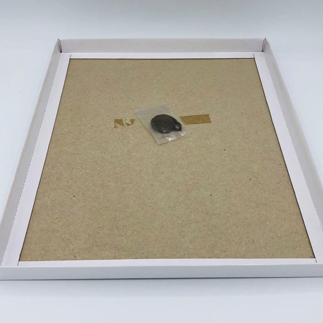 戦翼のシグルドリーヴァ キャラファイングラフ アニプレックス特典 藤真拓哉