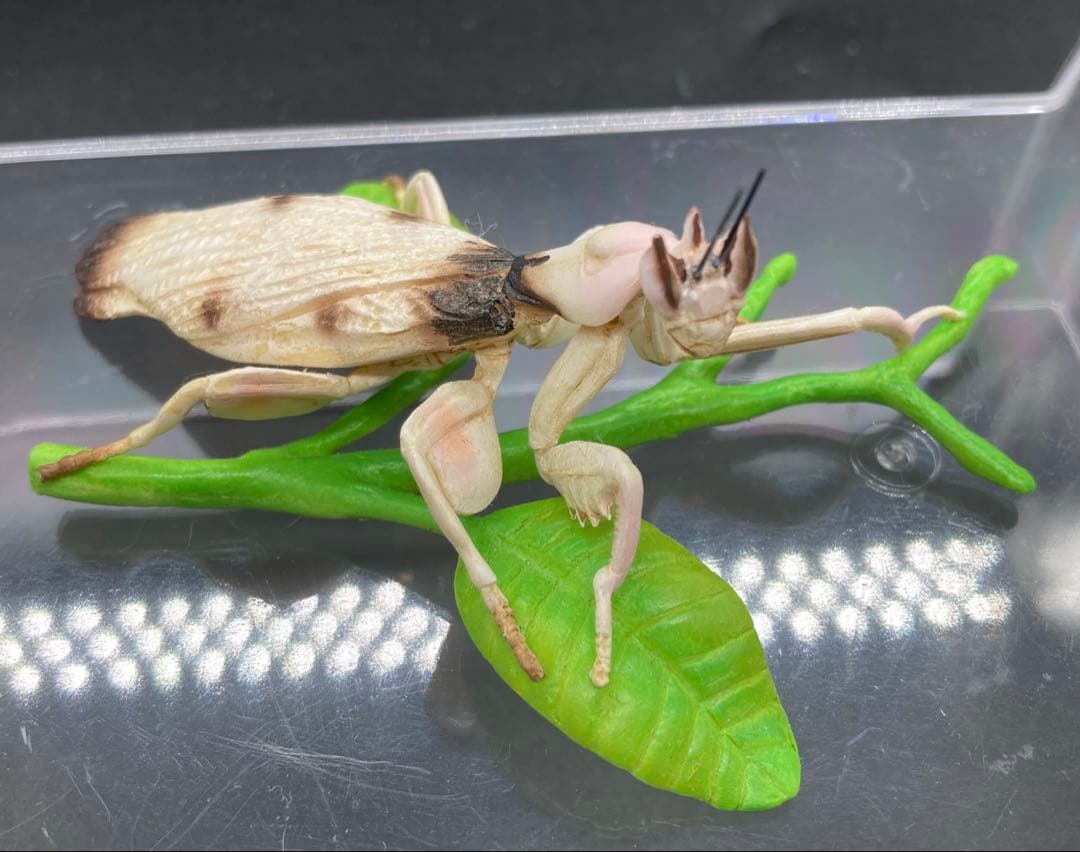 動物 生き物フィギュア ガレージキット 塗装済み完成品 19体セット