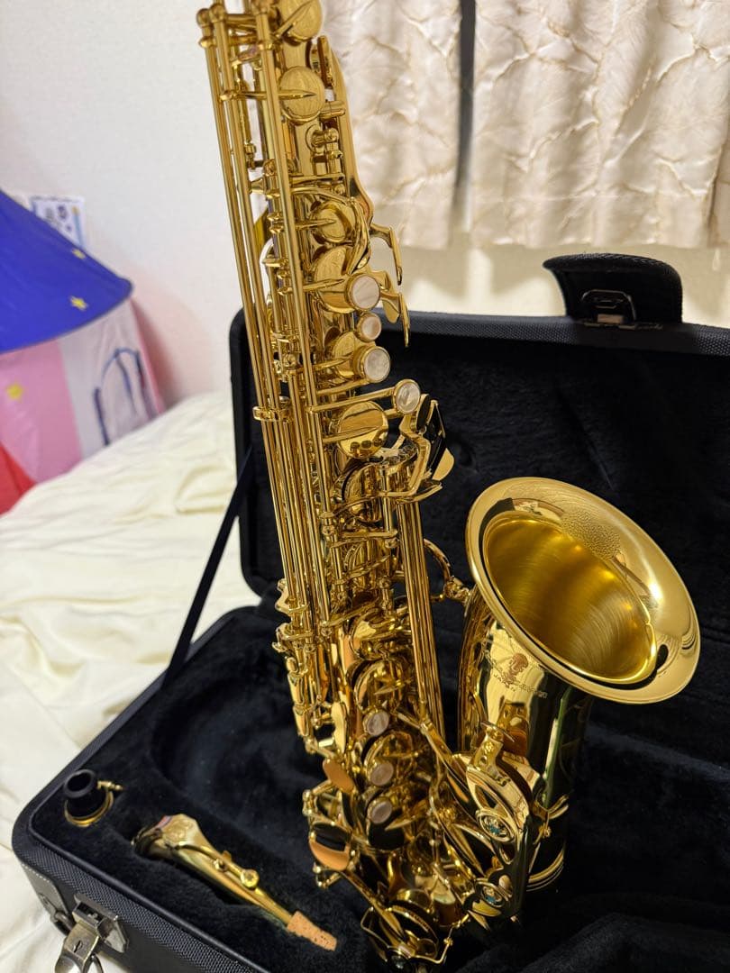 管楽器・吹奏楽器 YANAGISAWA a-wo1