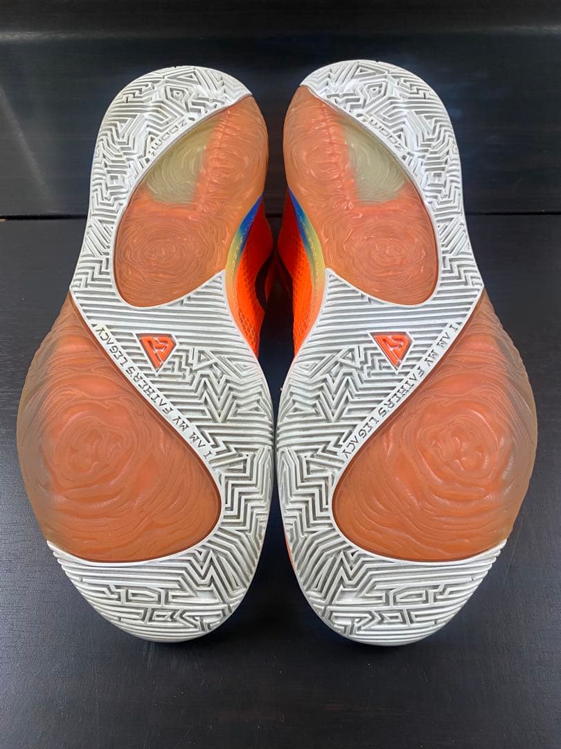 NIKE Zoom Freak 1 28cm 中古美品 箱あり