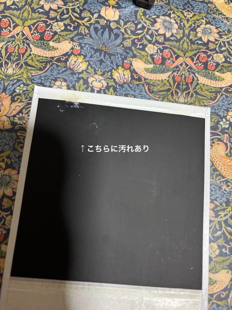 ★値下げ交渉可能★千鳥　大悟　ノブ　直筆サイン入りポラロイド写真