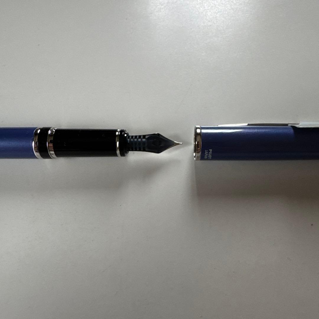 パイロット　2010年限定万年筆　Ｆニブ　細字　ボールペン　グランセ　あじさい