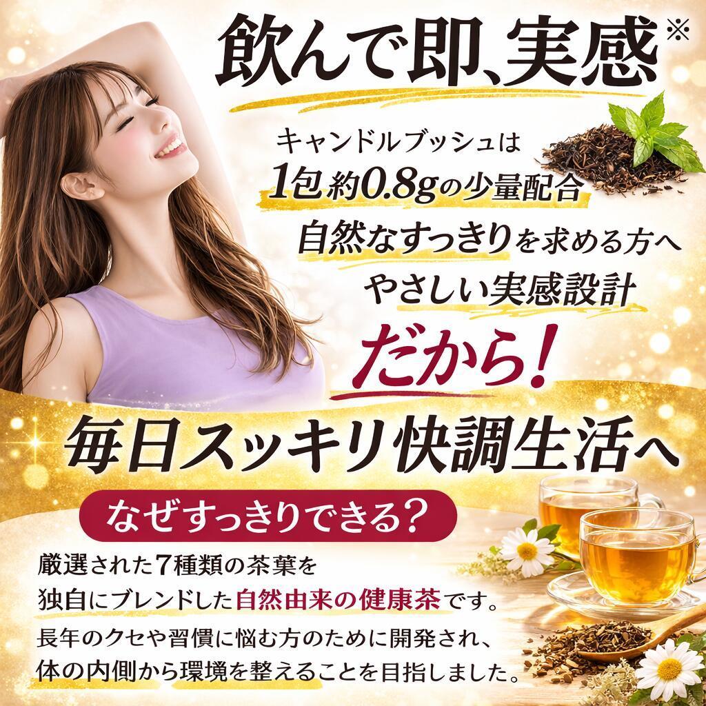【10袋】七茶葉の恵み ダイエット茶 ダイエットティー 健康茶　便秘お茶