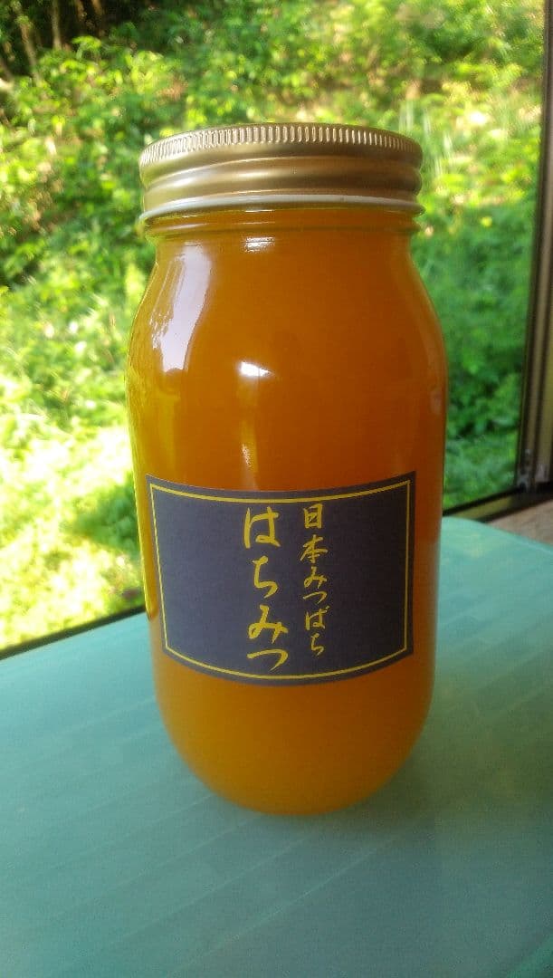 日本ミツバチの百花蜜 1000g