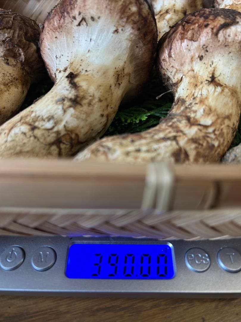 松茸 国産 信州産 長野県産 2