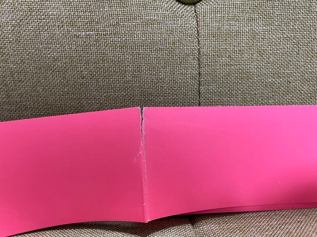 【希少】ヴァージンスーサイズ ヴィジュアルブック　ソフィアコッポラ