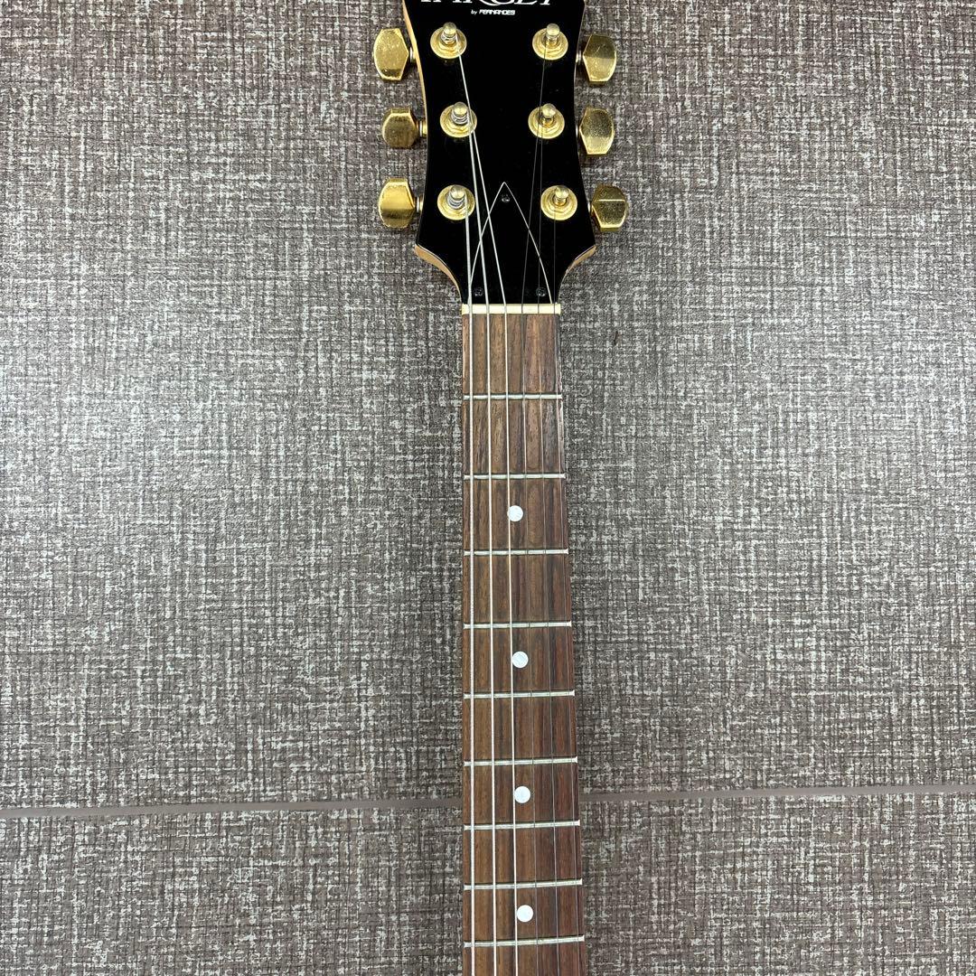 TARGET by FERNANDES MGタイプ エレキギター ブラック系