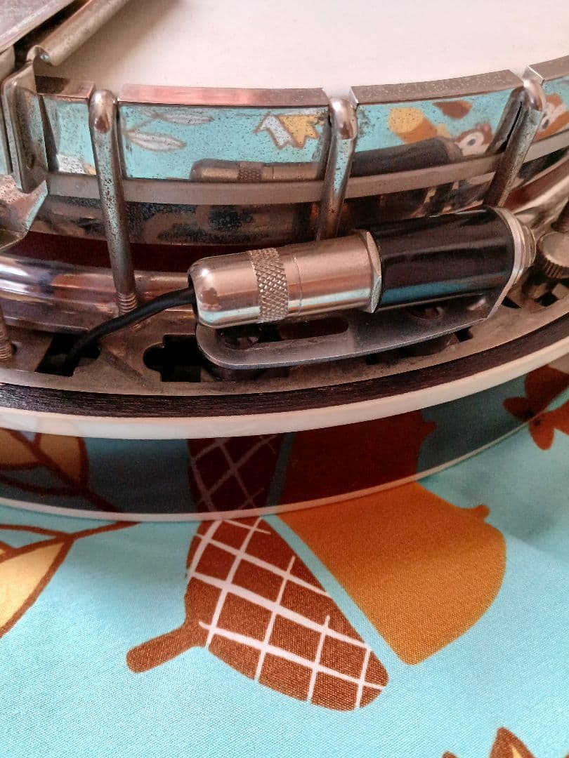 Fishman Classic series ピックアップ バンジョー