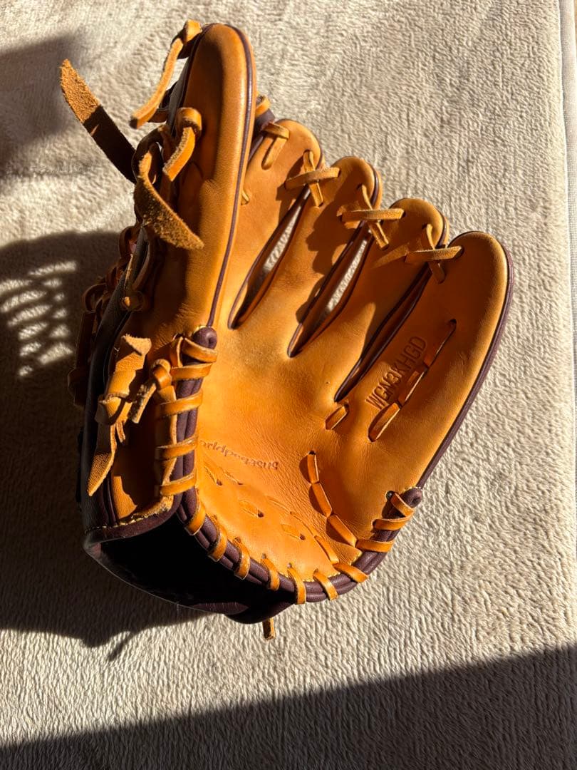 【美品】（希少です！）ワールドペガサス　軟式グローブ　キムハソンモデル