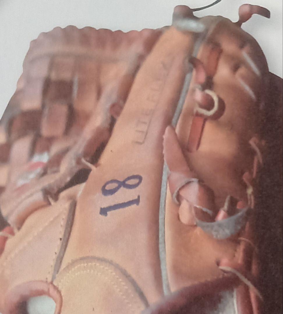 美津濃ワールドウィン硬式グローブ阪急ブレーブス山口高志投手刺繍入り、赤カップ