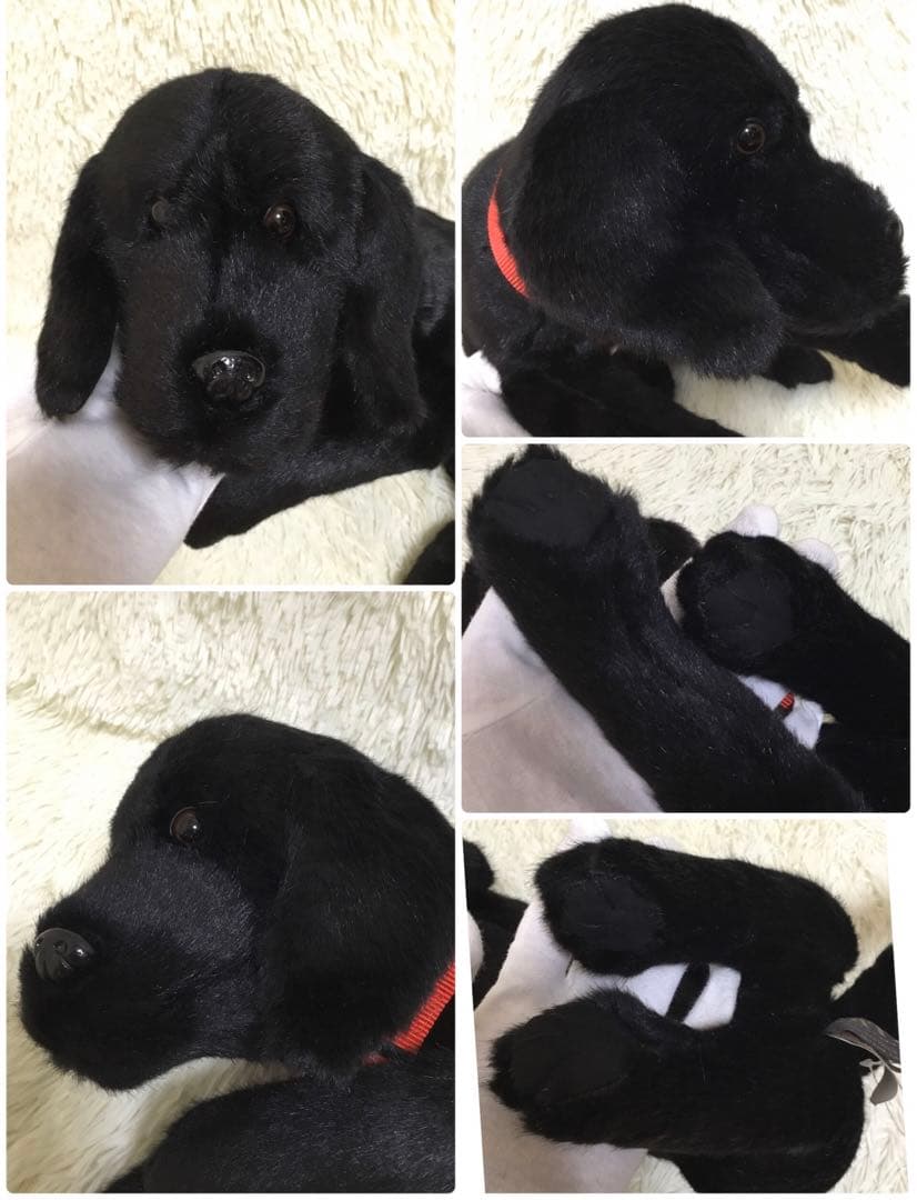 希少◆新品 DITZ ディッツ DitzDesing ハルモニア 犬 ぬいぐるみ