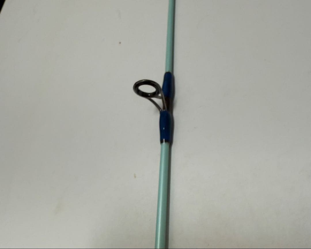 【2/22誕生日セール】PALMS CORAL STAR CGP-7016i