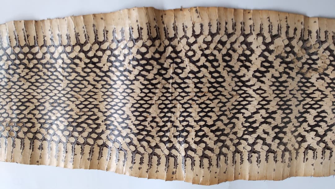 財を築き幸運を呼ぶ 蛇皮 財ヘビ 革 原皮 天然皮革 金運 招福 厄除け 風水