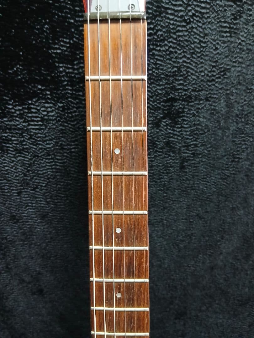 AriaproIIMAGNA Shires 中古ソフトケースシールドストラップ付