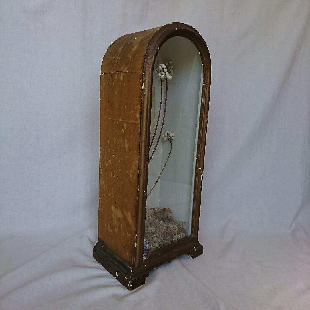 フランスアンティーク ディスプレイケース 19世紀 ガラス付き