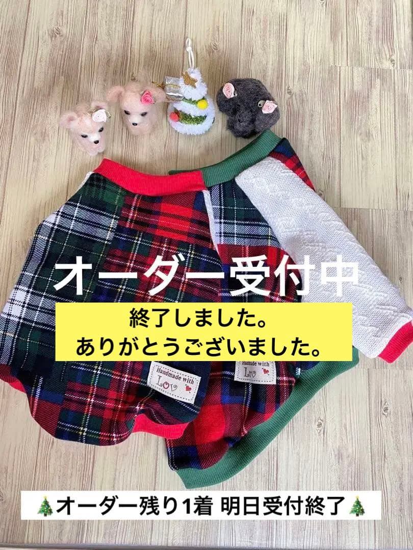 犬服  ラグラン Xmasカラー   ꒡̈⃝Lily꒡̈⃝ハンドメイド
