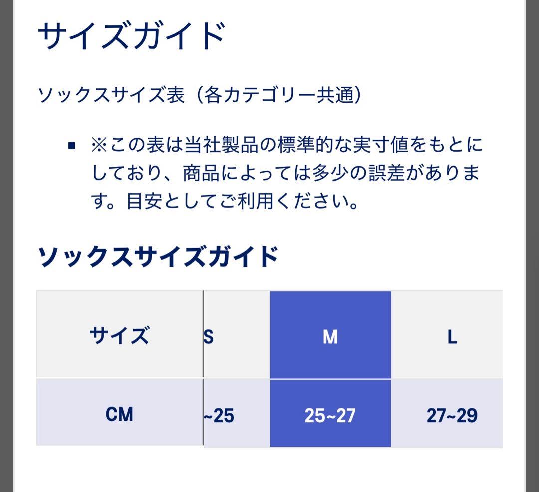 asics A.P.C テニス ソックス