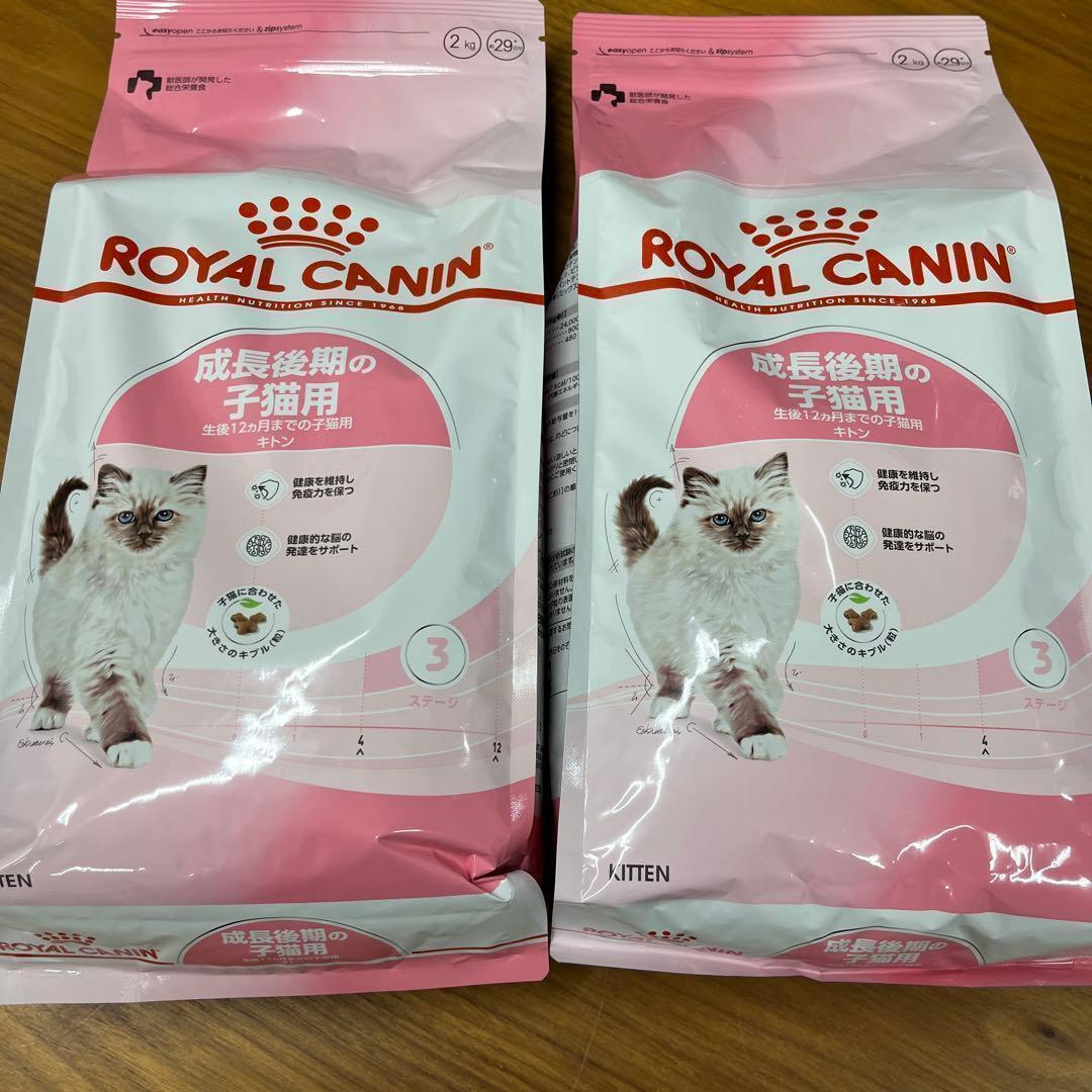 ロイヤルカナン　キトン　成長後期の子猫用　2kg2袋