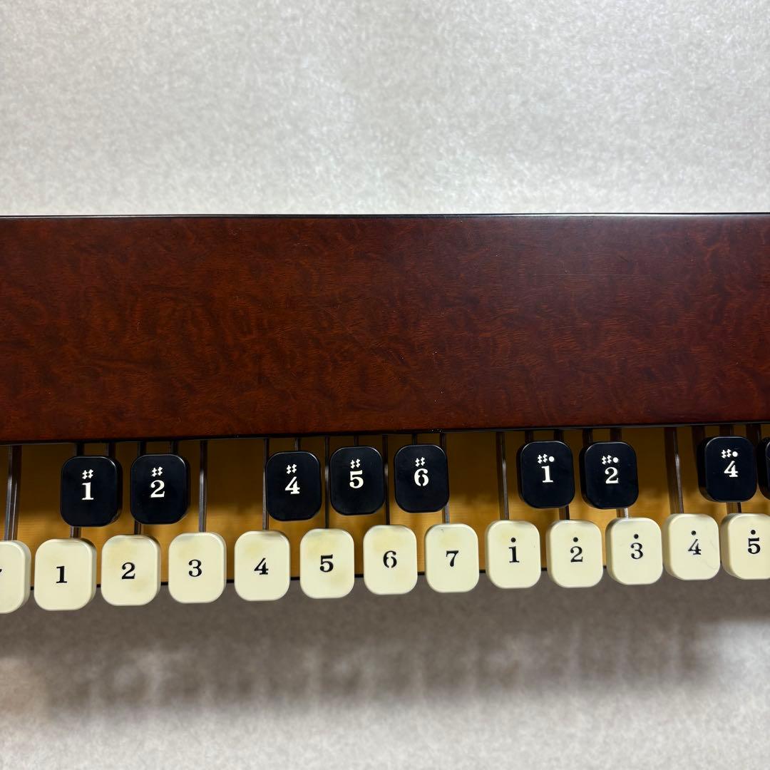 LYRISH LSS75 ライリスト 大正琴 ライリッシュ