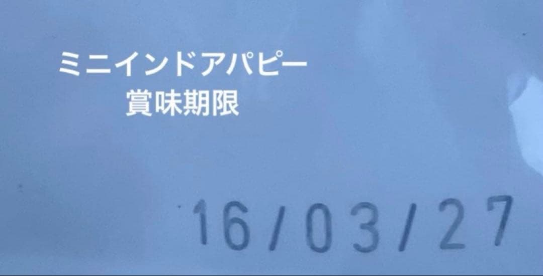  CANIN ミニインドアパピー 10kg