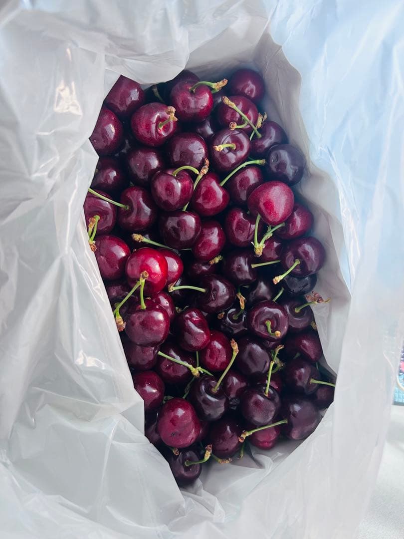 コストコ チェリー2kg 爆大号高級贈答