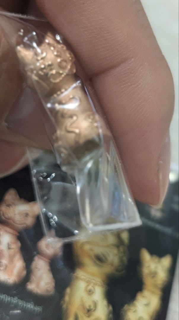 426ブロンズ！タイのお守りプラクルアン猫だキャット！取説付属！幸運&金運UP!