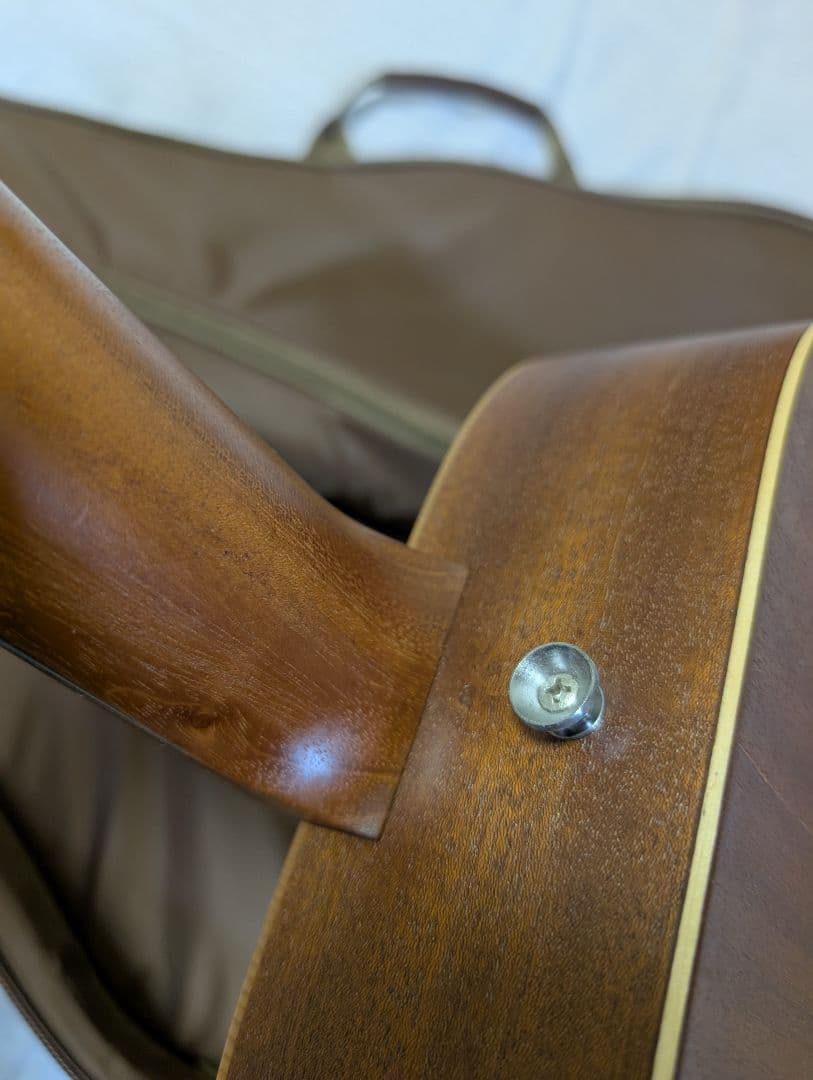 【JV】　Baby Tayjlor BT1