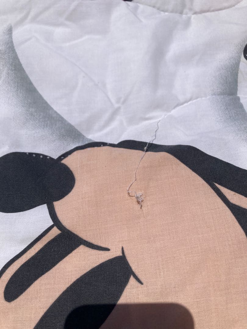 USA ビンテージ ディズニー ミッキーマウス ミニー　ベッドキルト キャンプ