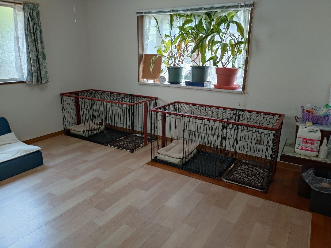 犬用折りたたみケージ 1区画 黒赤