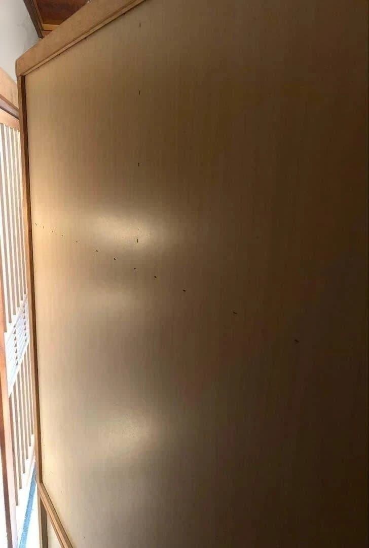 和箪笥 着物収納 桐箪笥 大型 日本製 婚礼家具 和モダン 古民家