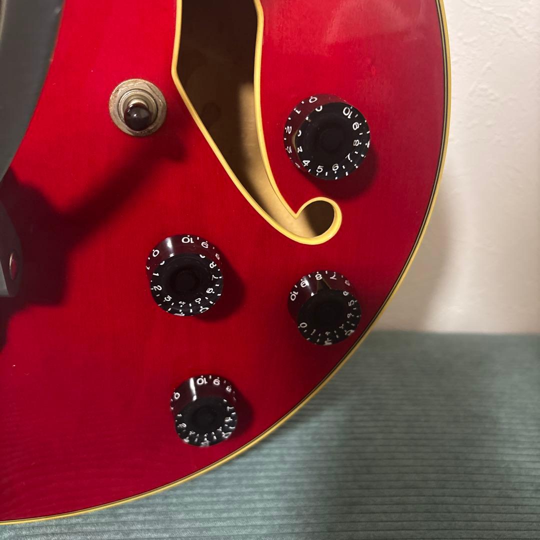 Ibanez アイバニーズ Light様