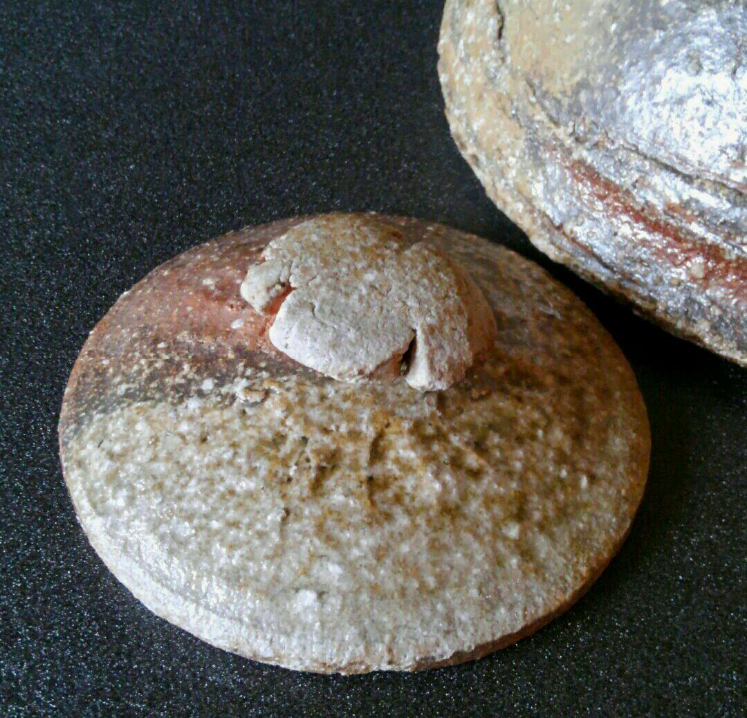 人気作家　眉山窯　沖康史作　焼締　信楽　土瓶形　花入れ　花瓶　オブジェ　共箱