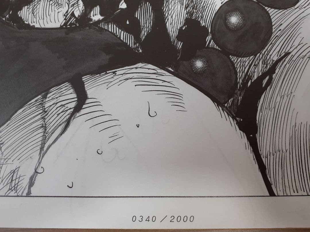 ✔️非売品 ONEPIECE 複製原画 ビブルの秘宝② エース